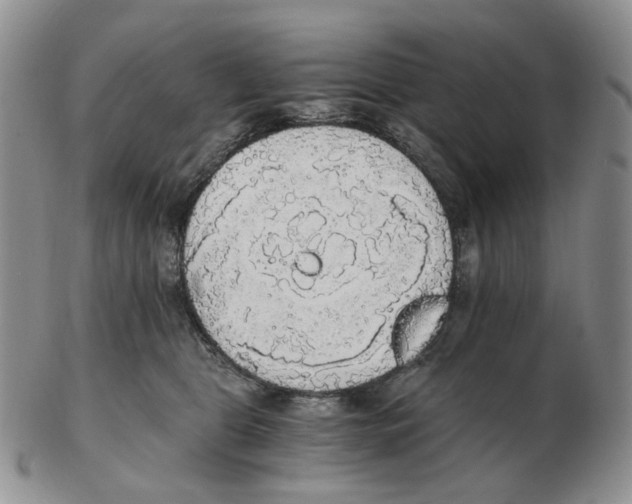 X0000102770469200809151044