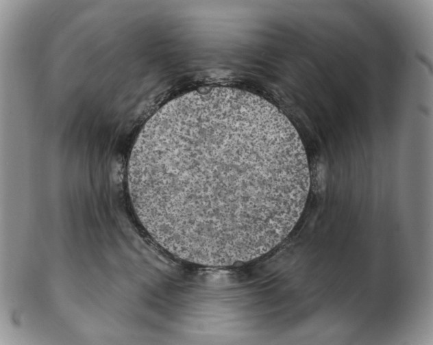 X0000102770472200809151044