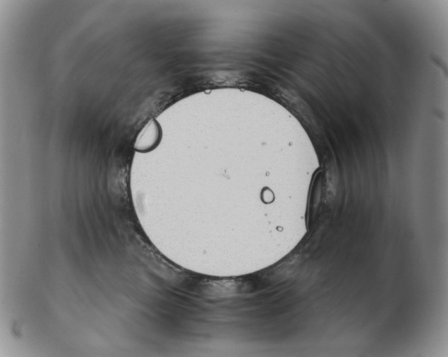 X0000102770473200809151044