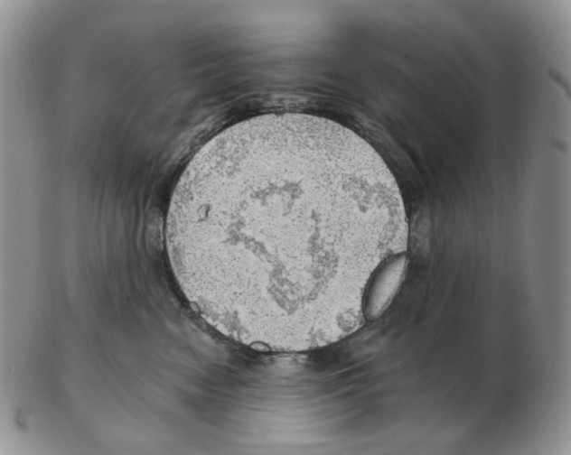 X0000102770474200809151044