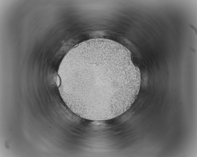 X0000102770477200809151044