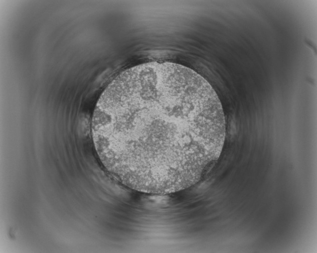 X0000102770478200809151044