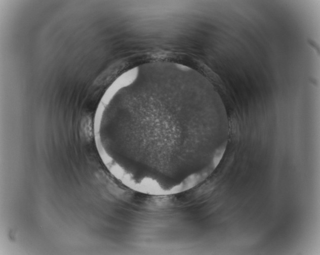 X0000102770479200809151044