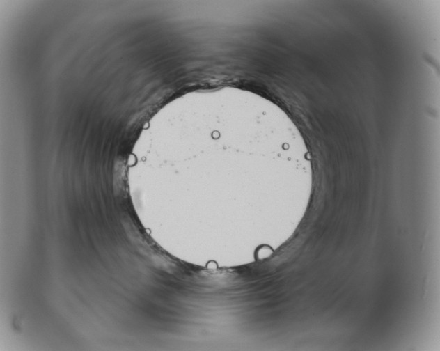 X0000102770480200809151044