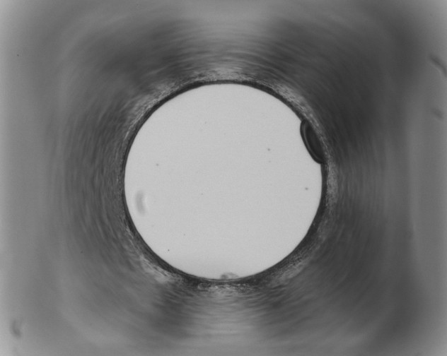 X0000102770481200809151043