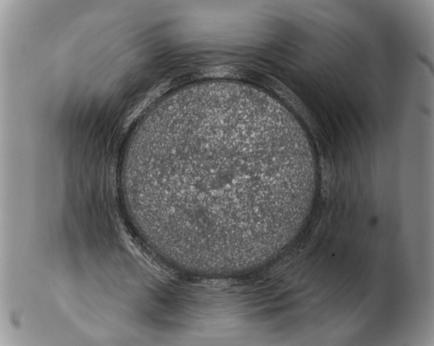 X0000102770482200809151043