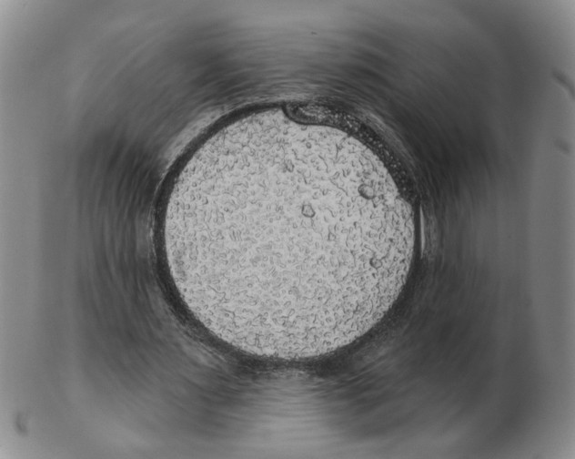 X0000102770483200809151043