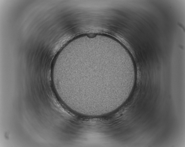 X0000102770485200809151043