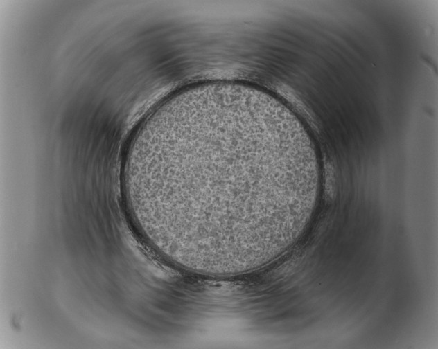 X0000102770486200809151043