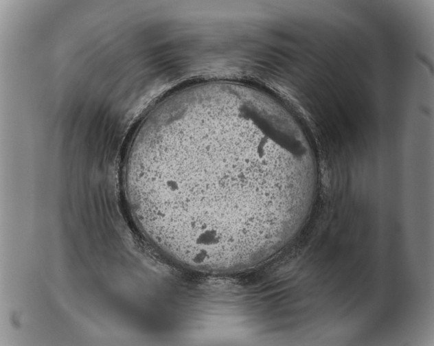 X0000102770487200809151043