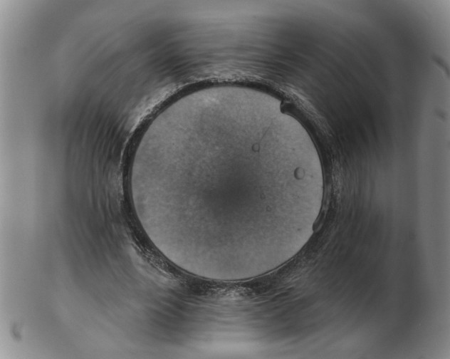 X0000102770488200809151043