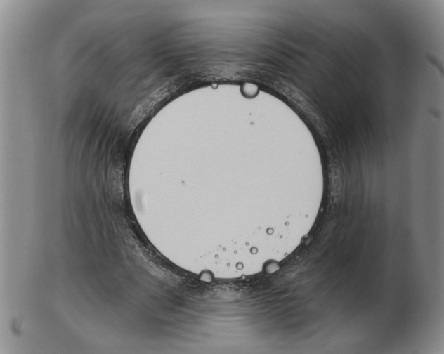 X0000102770489200809151043