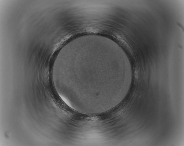 X0000102770492200809151043