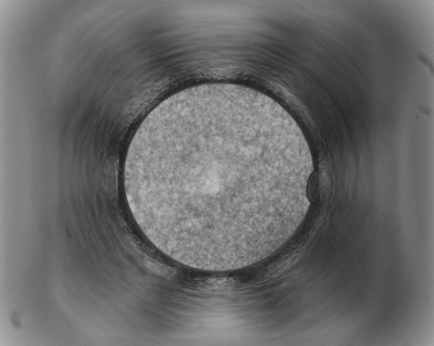 X0000102770493200809151043