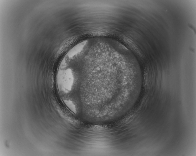 X0000102770494200809151043