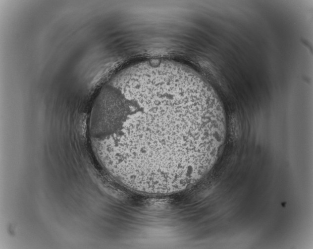 X0000102770495200809151043