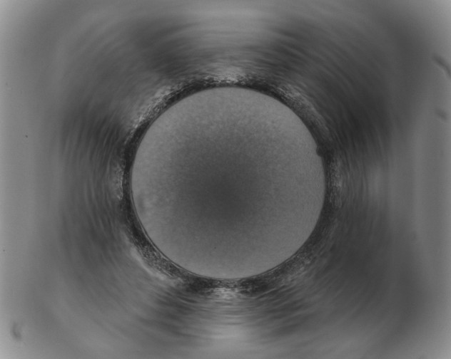 X0000102770496200809151043