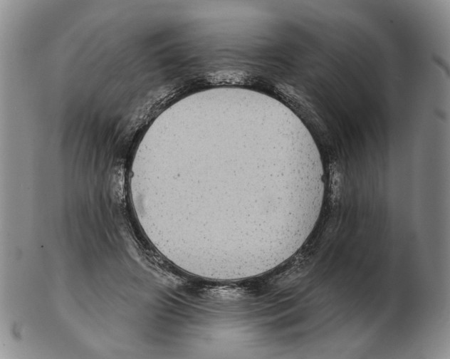 X0000102770498200809151043