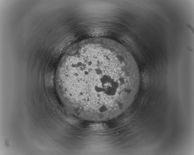 X0000102770499200809151043