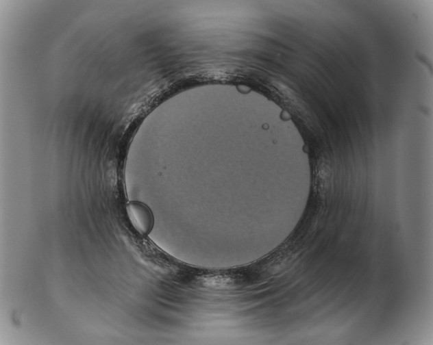 X0000102770500200809151043