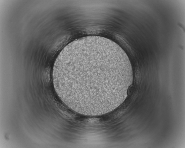 X0000102770501200809151043