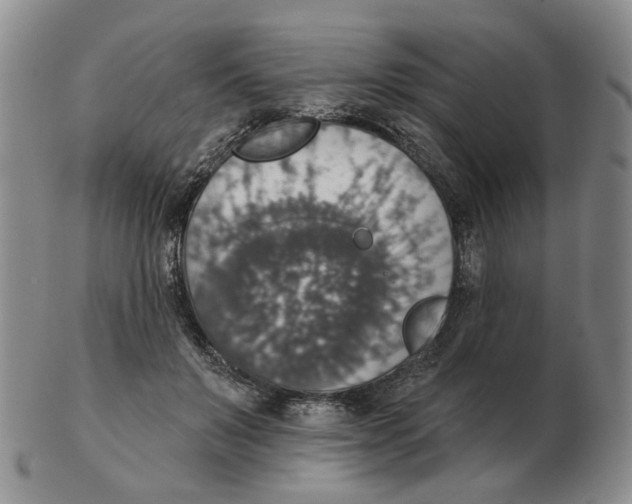 X0000102770503200809151043