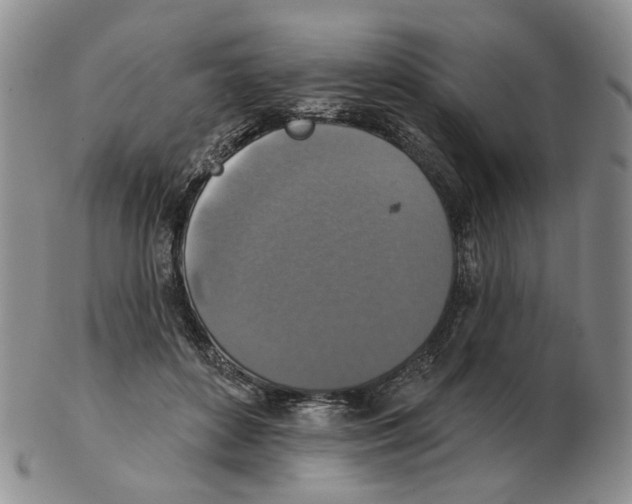 X0000102770504200809151043