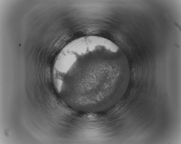 X0000102770506200809151043