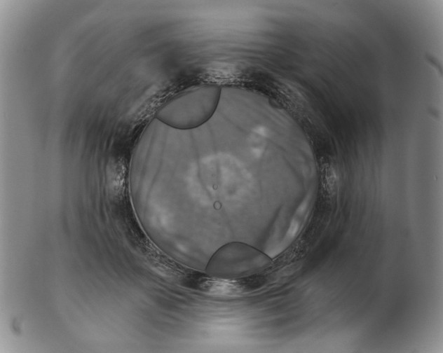 X0000102770507200809151043