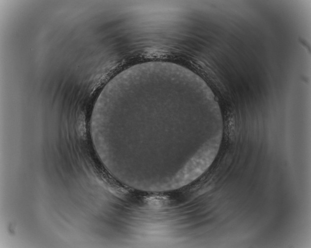 X0000102770508200809151043