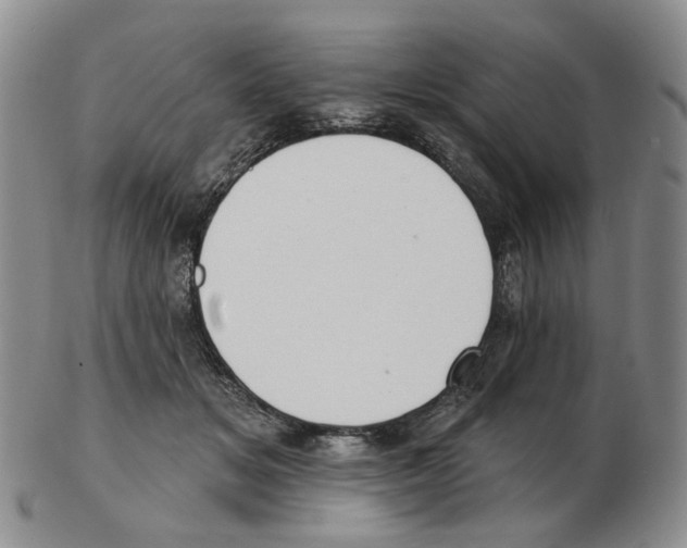 X0000102770509200809151043