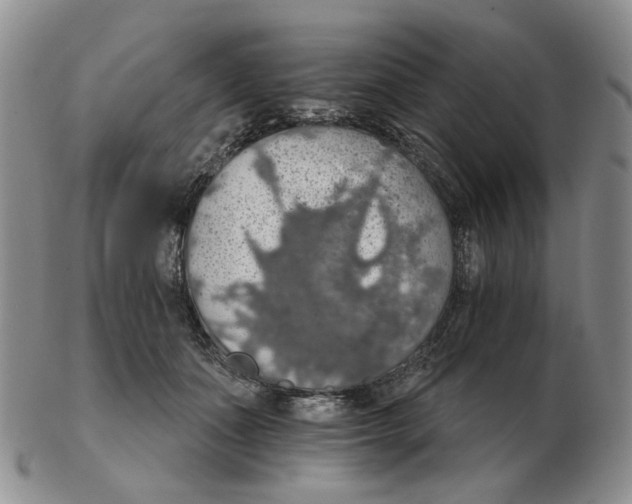 X0000102770511200809151043