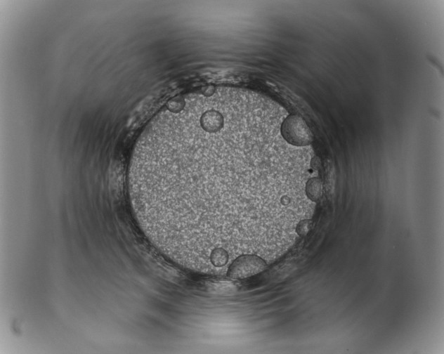 X0000102770513200809151043