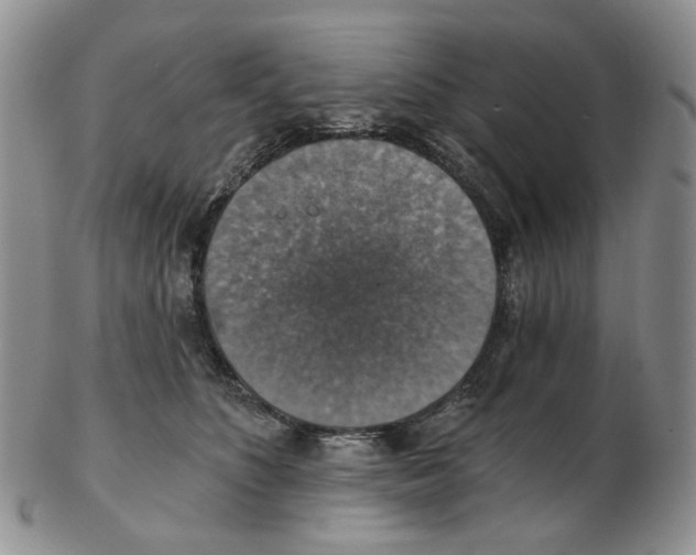 X0000102770516200809151043