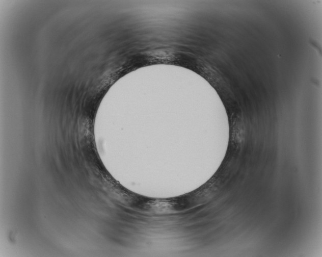 X0000102770518200809151043