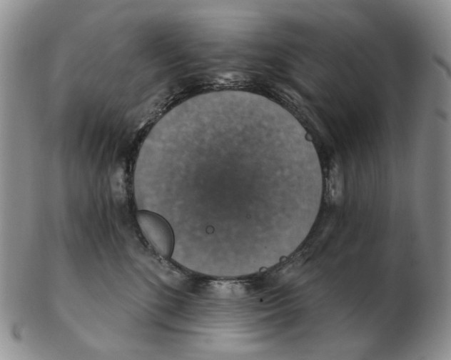 X0000102770520200809151043