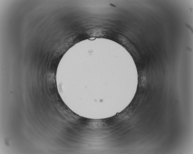 X0000102770521200809151043