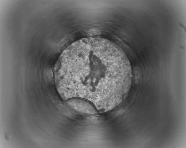 X0000102770523200809151043