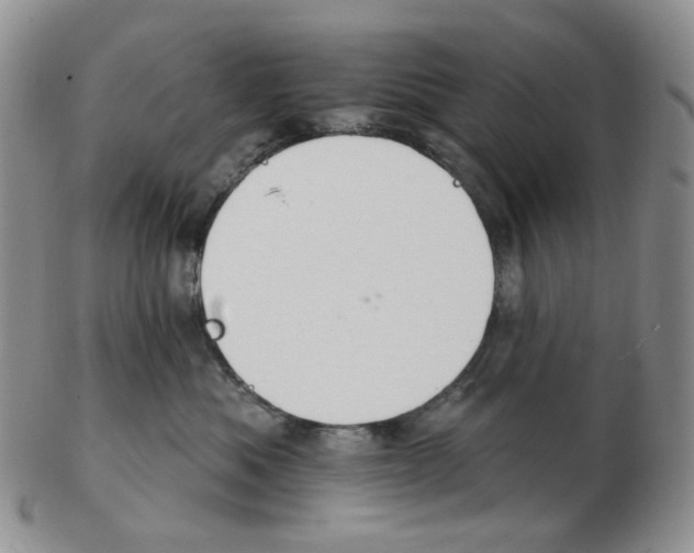 X0000102770525200809151043