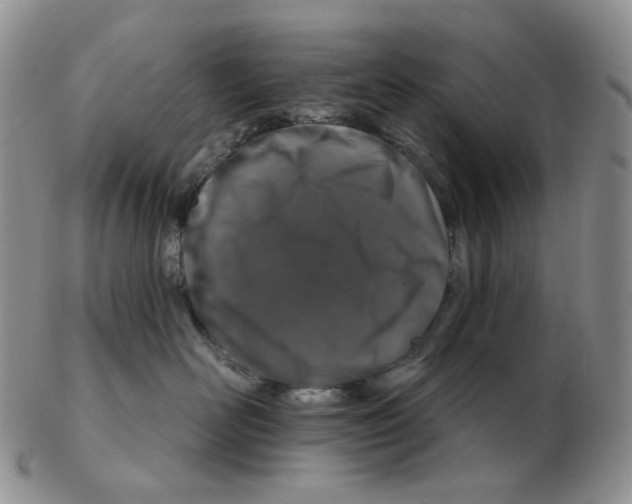 X0000102770526200809151042