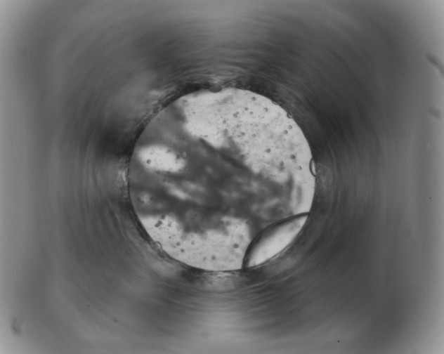 X0000102770527200809151042