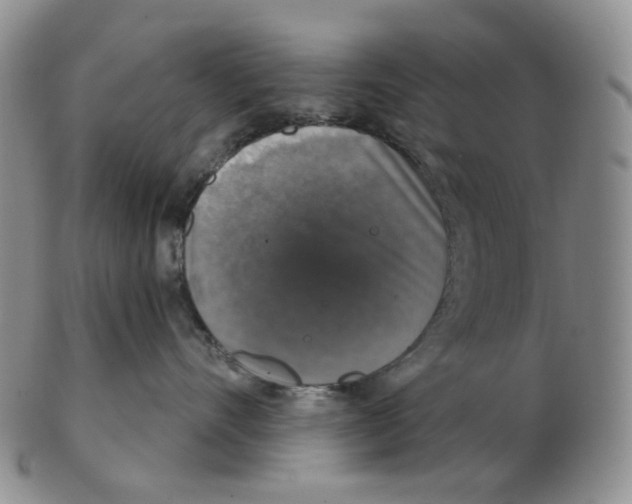 X0000102770528200809151042