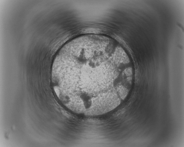 X0000102770529200809151042