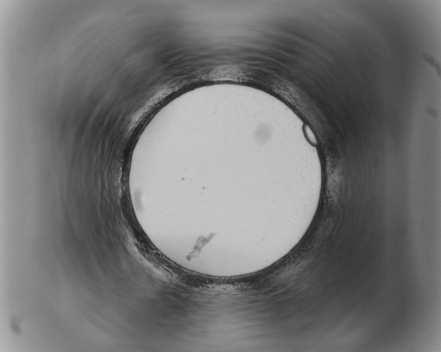 X0000102770530200809151042