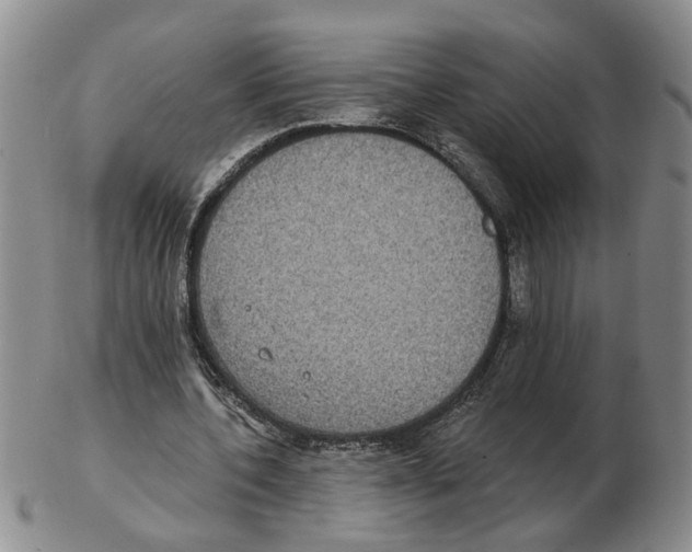 X0000102770532200809151042