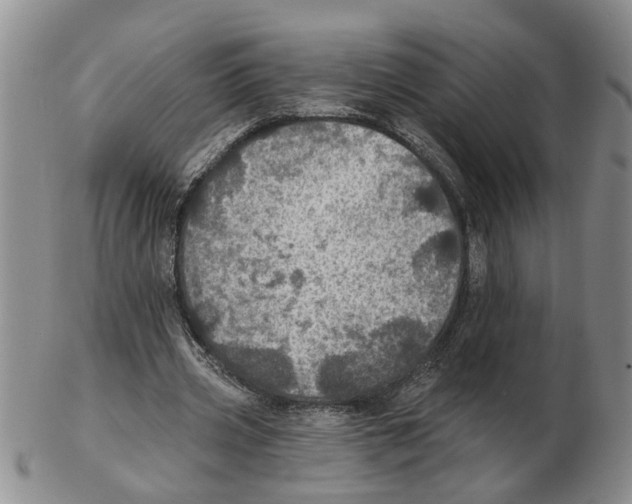 X0000102770533200809151042