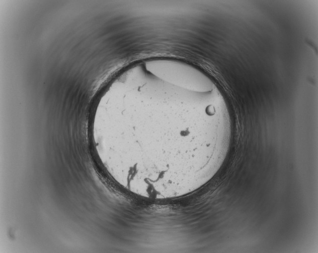 X0000102770534200809151042