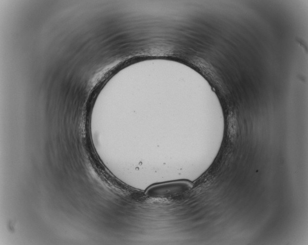 X0000102770536200809151042