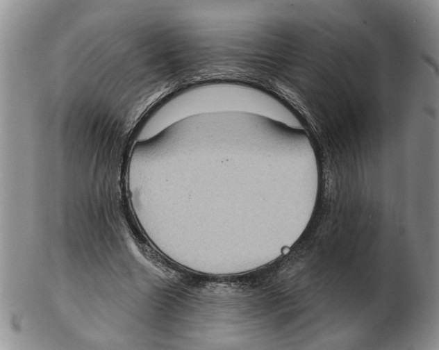 X0000102770538200809151042