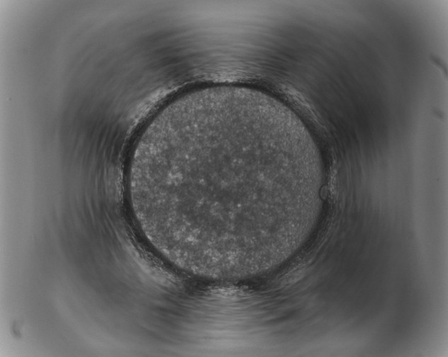 X0000102770540200809151042